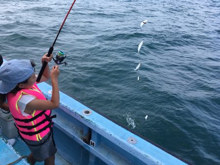 松鶴丸 釣果