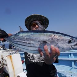 松鶴丸 釣果