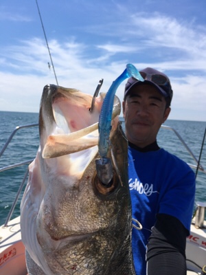 シーモンキー 釣果