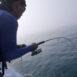 松鶴丸 釣果