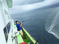 なごみ船 釣果