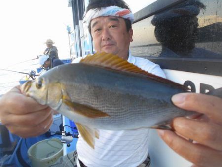 佐衛美丸 釣果