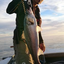 海龍丸（石川） 釣果