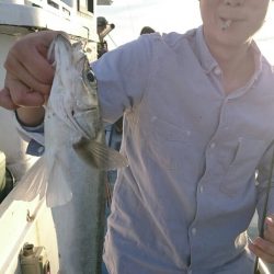 海龍丸（石川） 釣果