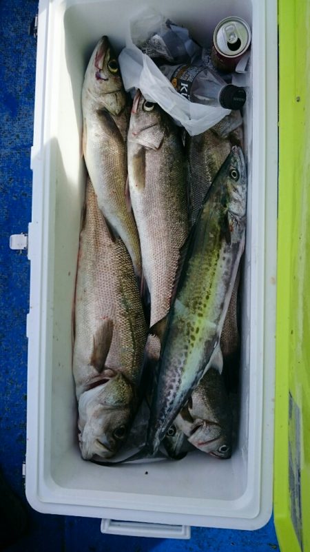 海龍丸（石川） 釣果