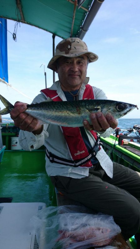 小島丸 釣果