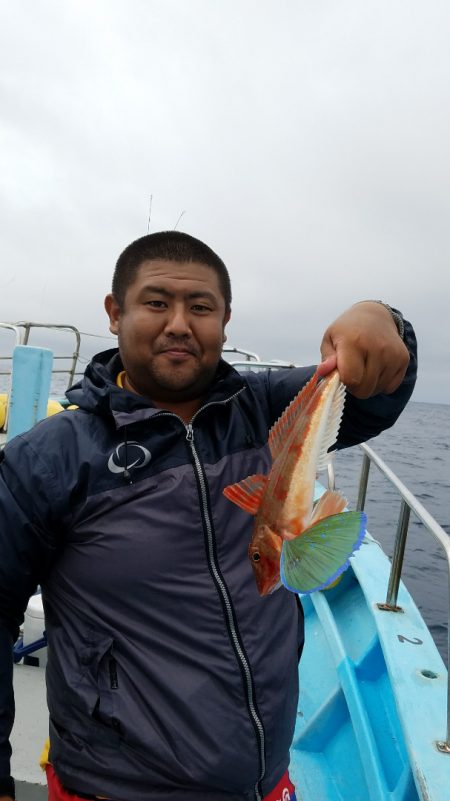 みやけ丸 釣果