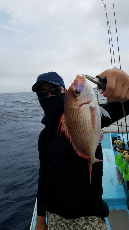 みやけ丸 釣果