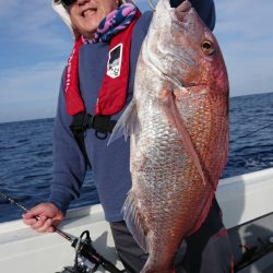 だて丸 釣果