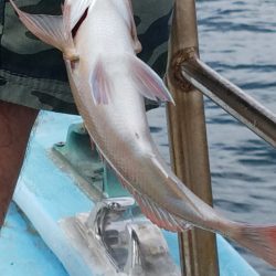 みやけ丸 釣果