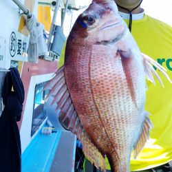 みやけ丸 釣果