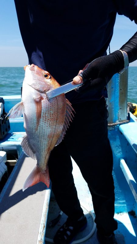 みやけ丸 釣果