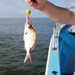 みやけ丸 釣果