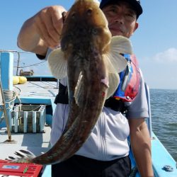 みやけ丸 釣果