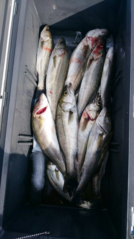 海龍丸（石川） 釣果