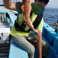 みやけ丸 釣果