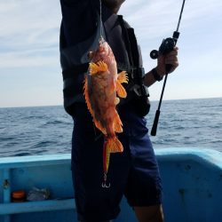 みやけ丸 釣果