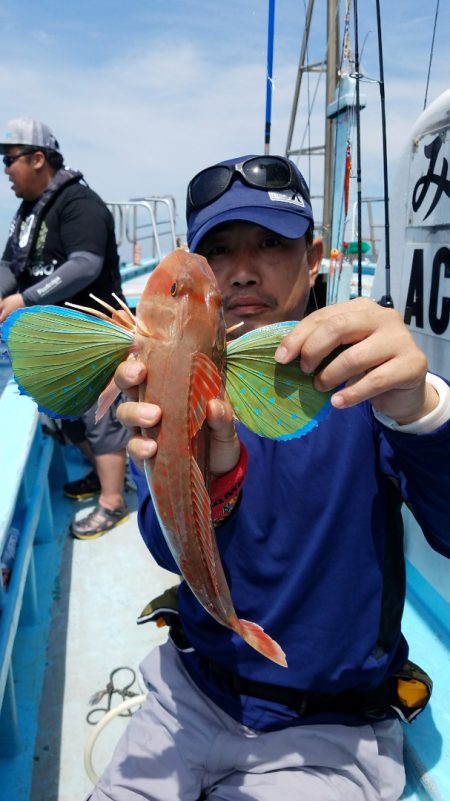 みやけ丸 釣果