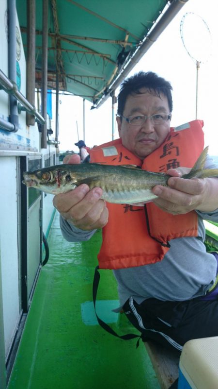 小島丸 釣果