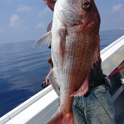 だて丸 釣果