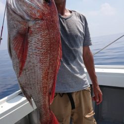 だて丸 釣果