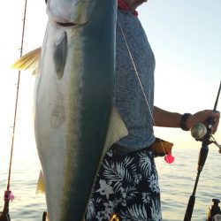 鷹王丸 釣果