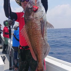 だて丸 釣果