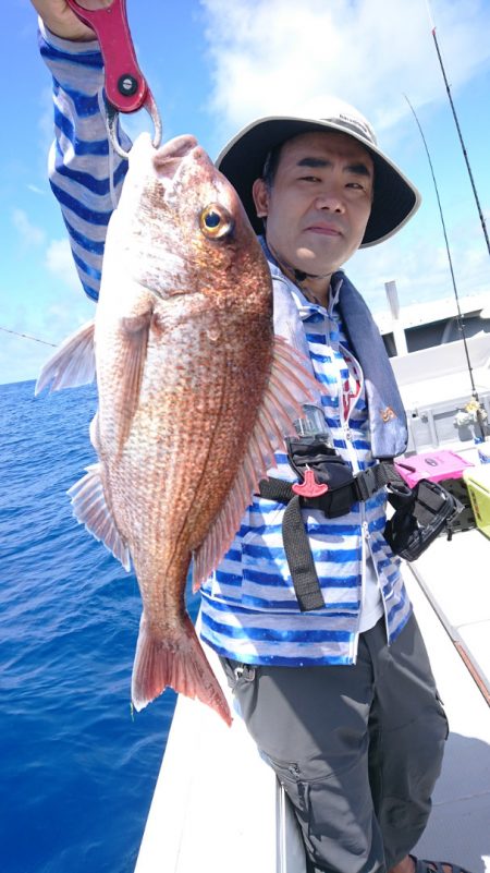 だて丸 釣果