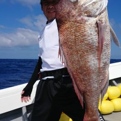 だて丸 釣果