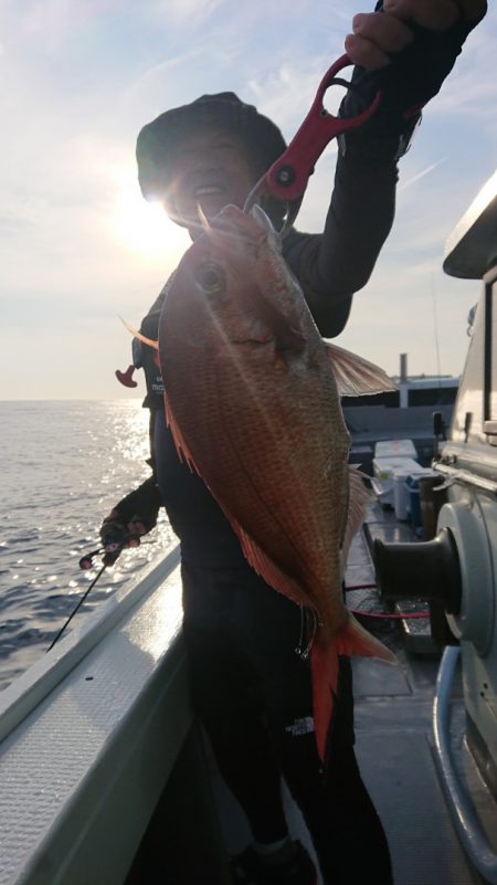 だて丸 釣果