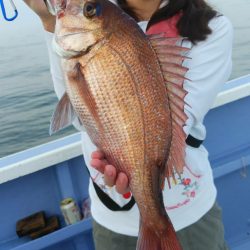 新幸丸 釣果