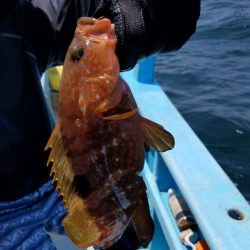 みやけ丸 釣果