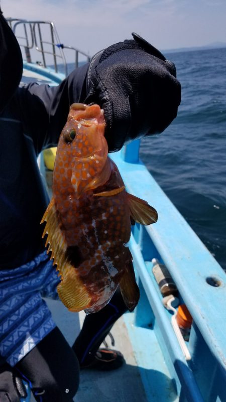 みやけ丸 釣果