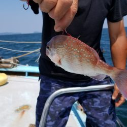 みやけ丸 釣果