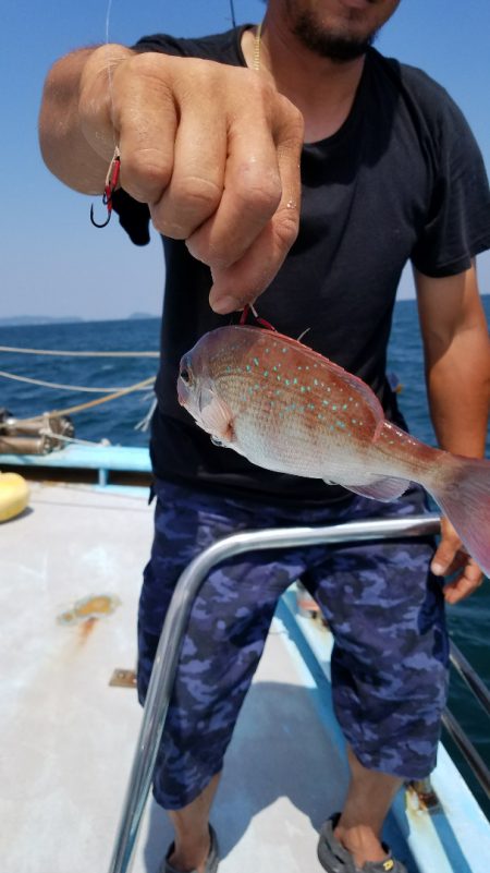 みやけ丸 釣果