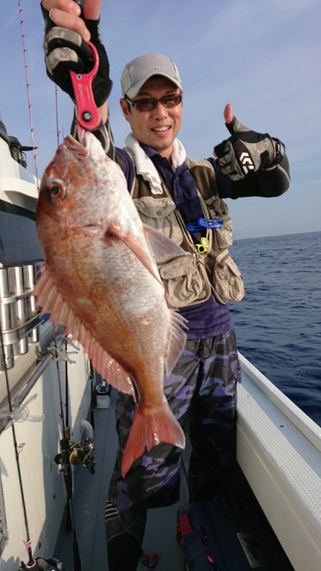 だて丸 釣果