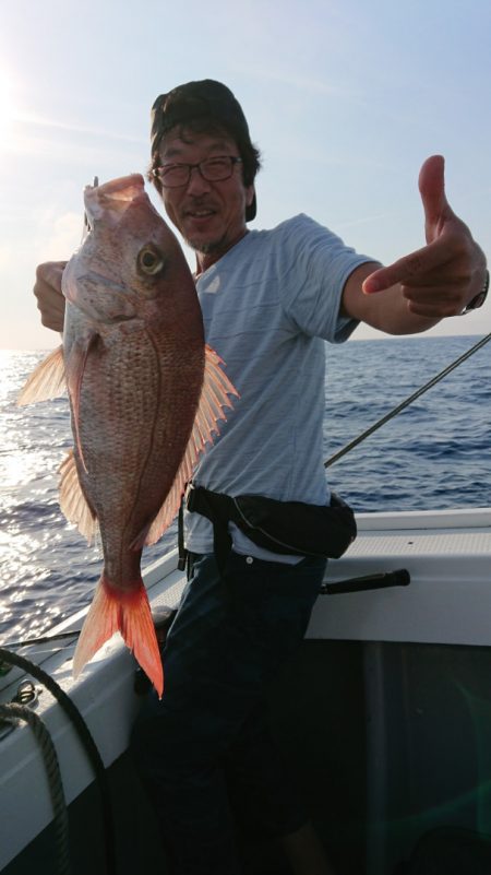 だて丸 釣果