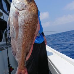 だて丸 釣果