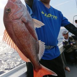 だて丸 釣果