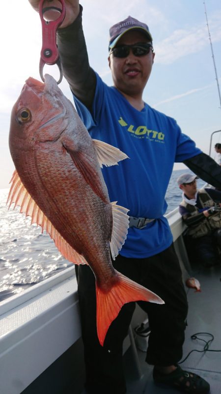 だて丸 釣果