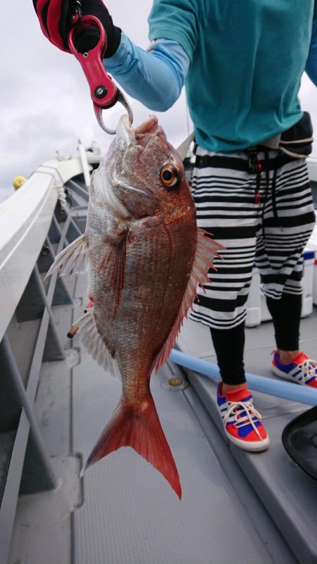 だて丸 釣果