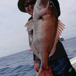 だて丸 釣果