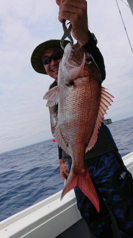 だて丸 釣果