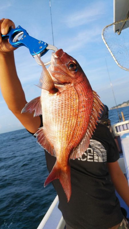 新幸丸 釣果