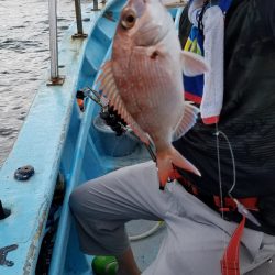 みやけ丸 釣果