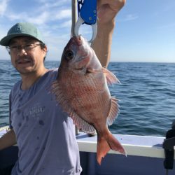 新幸丸 釣果