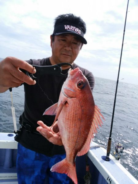 新幸丸 釣果