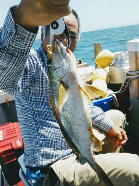 光生丸 釣果