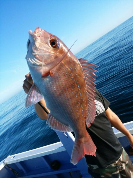 新幸丸 釣果