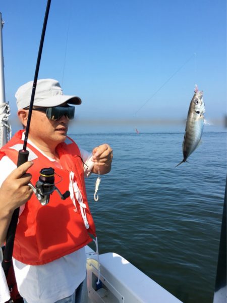 うさぎ丸 釣果